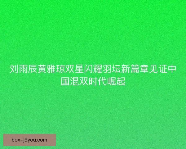 刘雨辰黄雅琼双星闪耀羽坛新篇章见证中国混双时代崛起